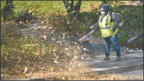 Leaf blowing: Answering your questions