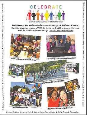 Diversity Consciousness introduces flyer