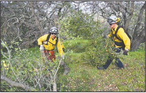 ConFire receives $3.1 million grant to help with wildfire prevention