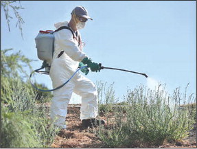 Resident worries Roundup will harm puppy Resident worries Roundup will harm puppy