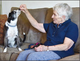 Molly to the Rescue: Dog alerts owner to neighbor needing help Molly to the Rescue: Dog alerts owner to neighbor needing help