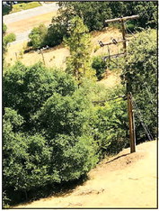 PG&E clears vegetation around power pole near Golden Rain PG&E clears vegetation around power pole near Golden Rain