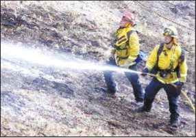 Another grass fire breaks out under problematic power pole Another grass fire breaks out under problematic power pole