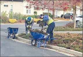 No more feral pig sightings in Rossmoor; repairs underway No more feral pig sightings in Rossmoor; repairs underway