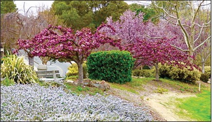 More Rossmoor Scenes More Rossmoor Scenes