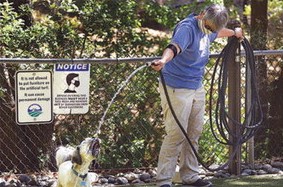 Residents adjust to new ‘normal’ as pools, dog park, outdoor dining resume Residents adjust to new ‘normal’ as pools, dog park, outdoor dining resume