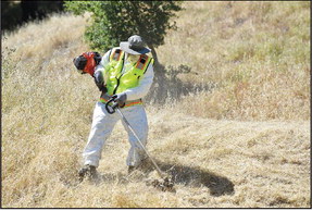 It’s hot and it’s fire season – time to update emergency plan It’s hot and it’s fire season – time to update emergency plan