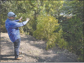 Creek restoration project likely won’t close the pickleball courts Creek restoration project likely won’t close the pickleball courts