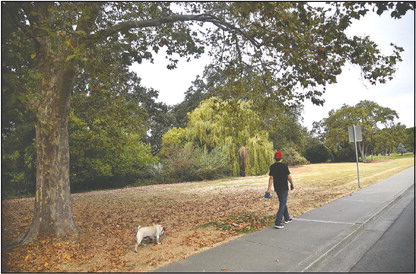 Walking paths plan takes next step Walking paths plan takes next step